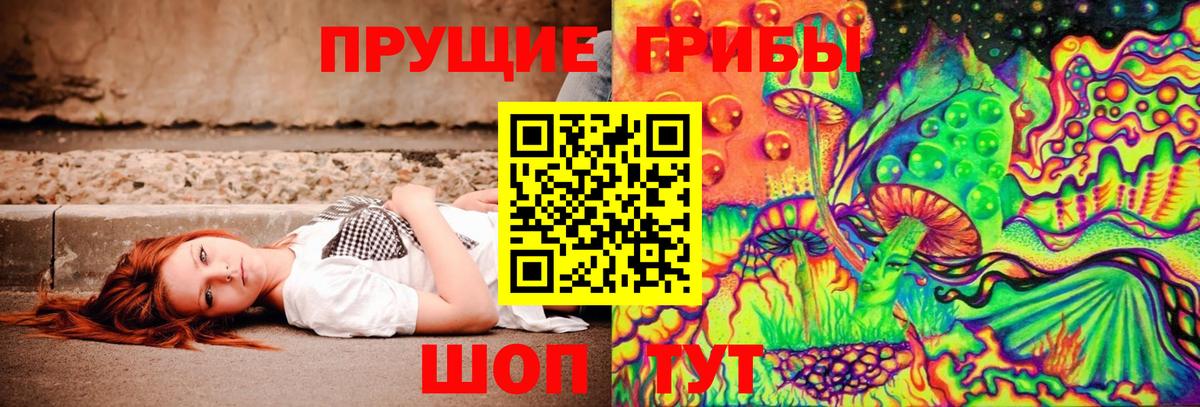 Псилоцибиновые грибы Cubensis  Вход с VPN  Галлюциногенные грибы Psilocybe  Калуга 