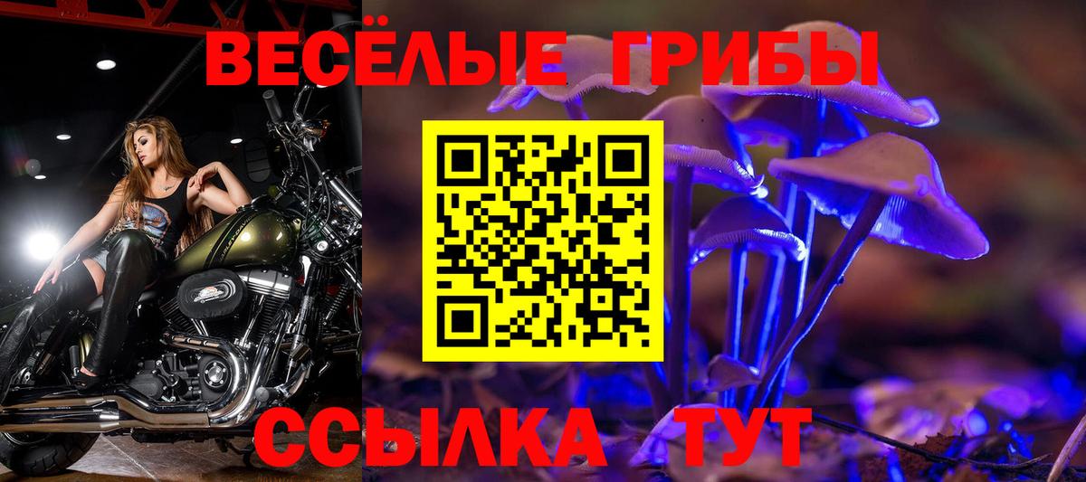 Псилоцибиновые грибы GOLDEN TEACHER Калуга